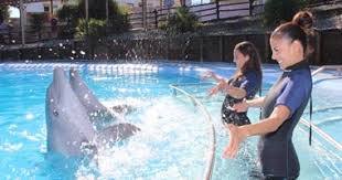 Aquarium Selwo Marina