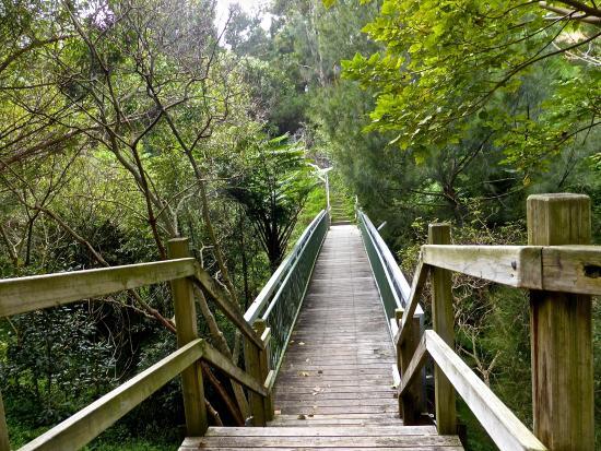 Fred Hollows Reserve