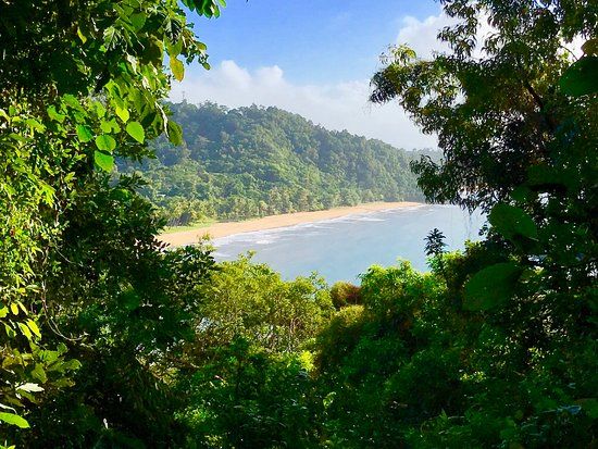 Clump-Mountain-Nationalpark