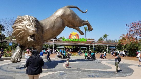 der Zoo San Diego