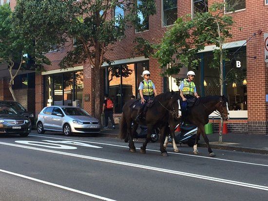 Crown St, Surry Hills