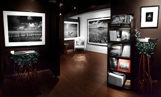 Clyde Butcher St Armands Gallery