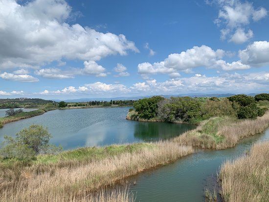 Etangs de Villepey