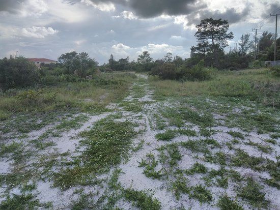 Deerfield Highlands Nature Preserve