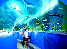 Blue Reef Aquarium