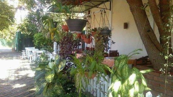 Pachamama Caffe