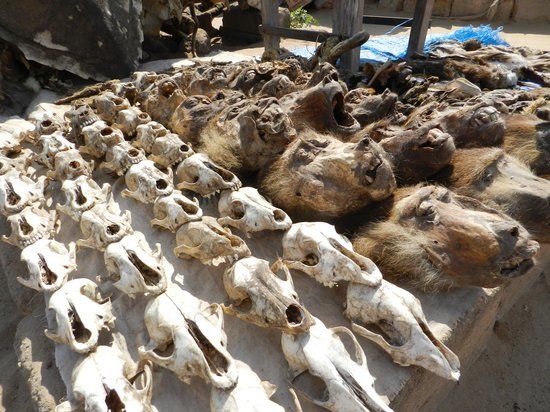 Fetischmarkt Akodésséwa