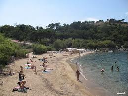 die Plage des Graniers