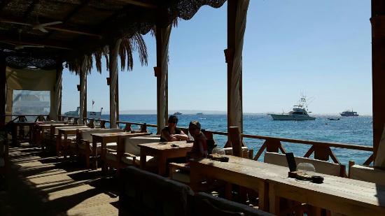 Caribbean Bar