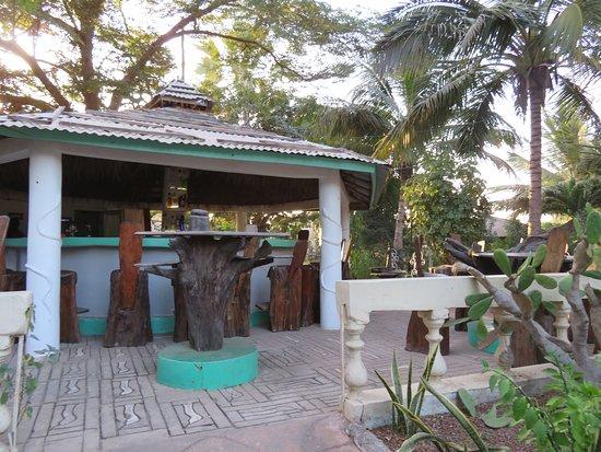 The Green Mamba Garden