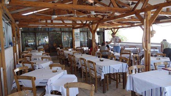 Vachus Taverna