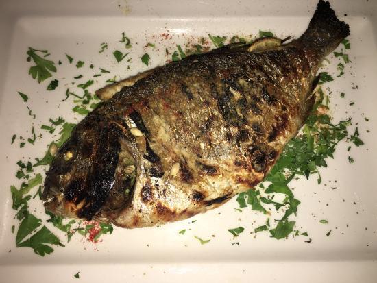 Barracuda Sea Food