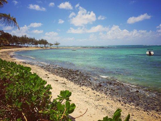 Hotel Restaurant Tropical Attitude