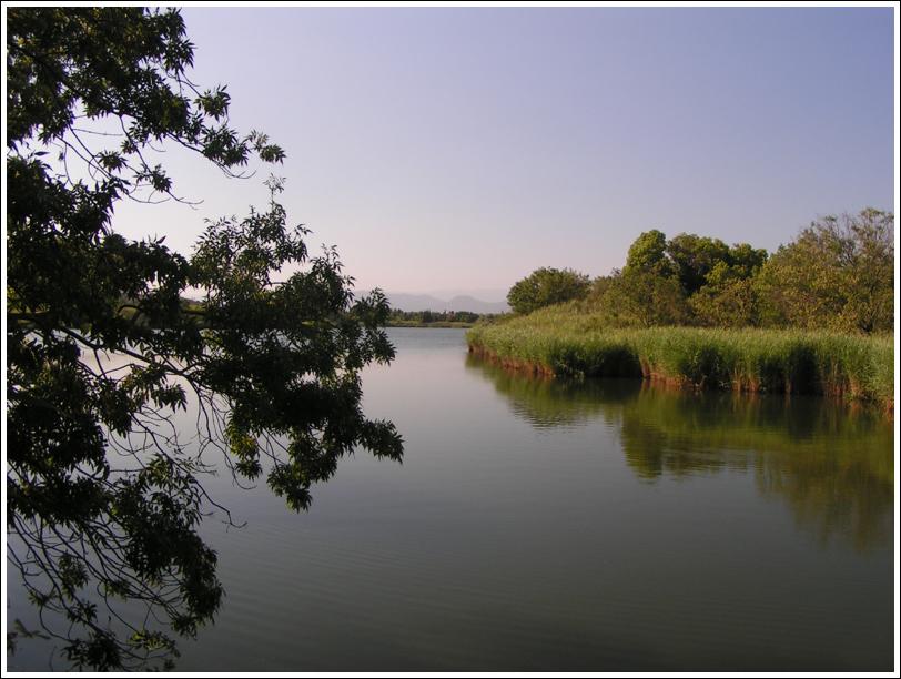 Etangs de Villepey