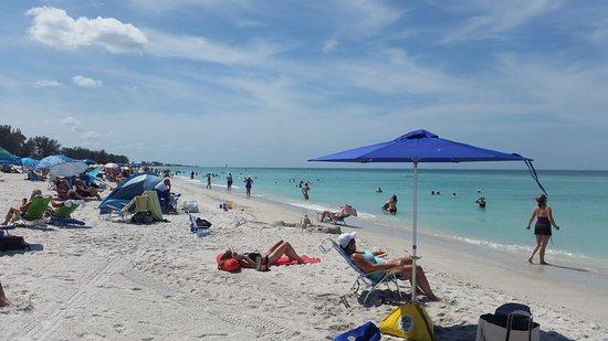 Manatee Public Beach