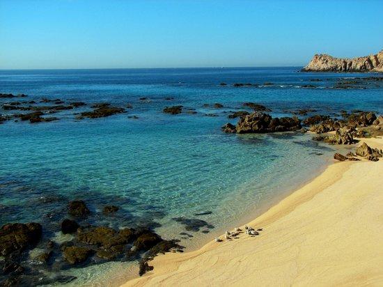 Strand El Chileno
