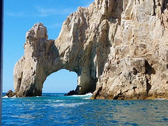 Glass Bottom Boat Tour