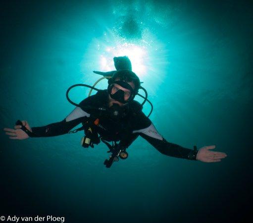 Flip Flop Divers