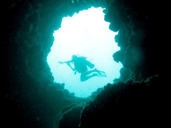 Palm Beach Divers
