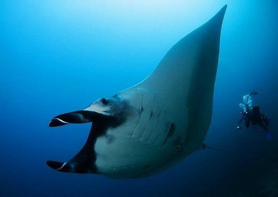 Liquid Adventure - Day Tours