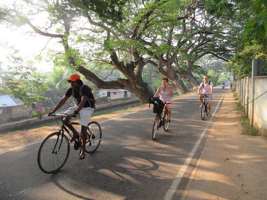 Enviro Bicycle Tours