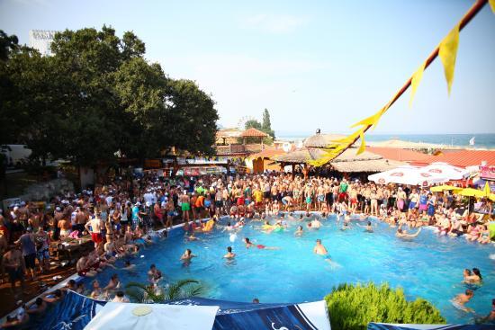 Megapark Dolphin