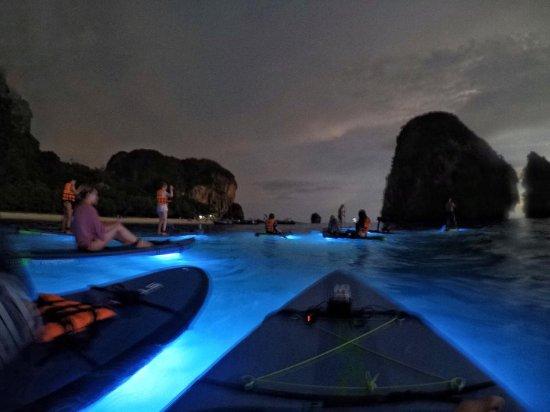 Freebird Paddle Co