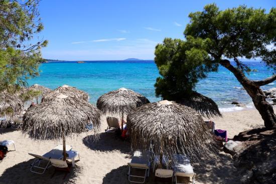 ISLA Beach Bar