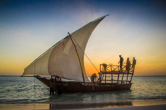 Free Spirit Eco Marine Safari