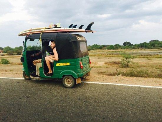 Lemon Tree Tours