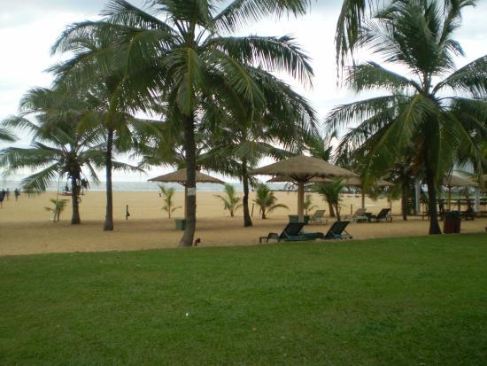 Sri Land Tours