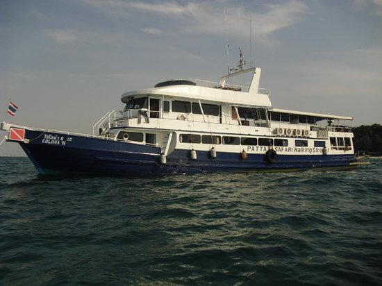 Pattayasafari Dive Center