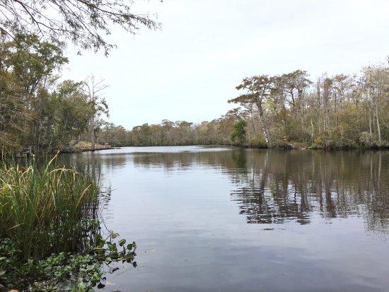 Myrtle Beach Paddle Board & Kayak Adventures