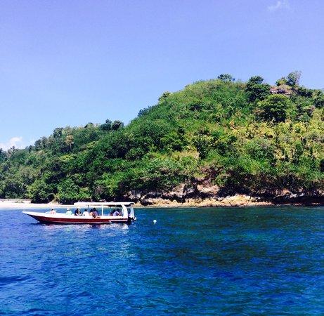 Bali Dreamers