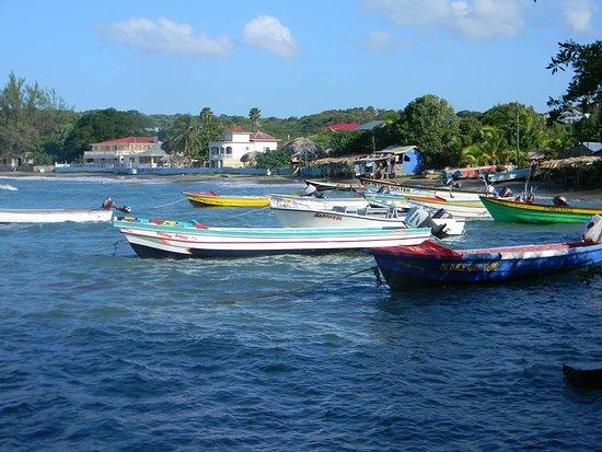 Righteousness Tours Jamaica