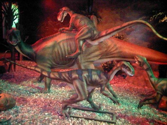 Planetarium360 & Dino Live