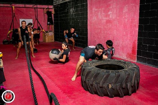 Tulum Fighters