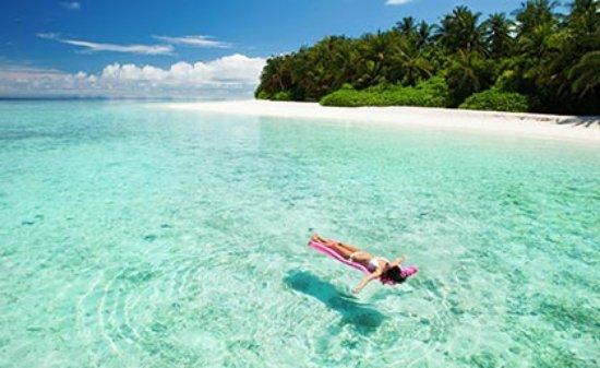 Best Dominican Tours