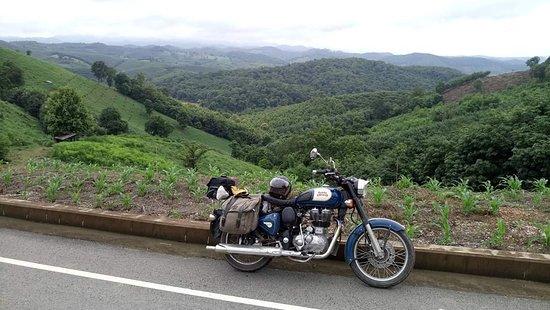 Royal Bike Tours
