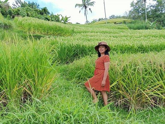 Bali Sundaram Holidays