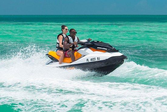Dolphin Water Sport