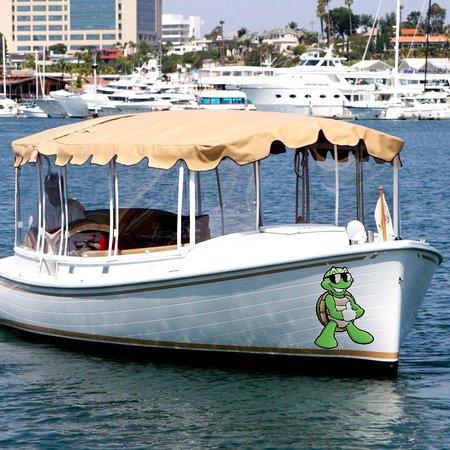 Dolphin Boat Rental Newport Beach