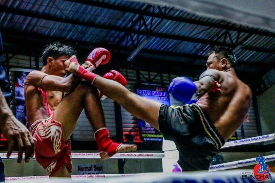 Amazing Muay Thai Gym & Fitness