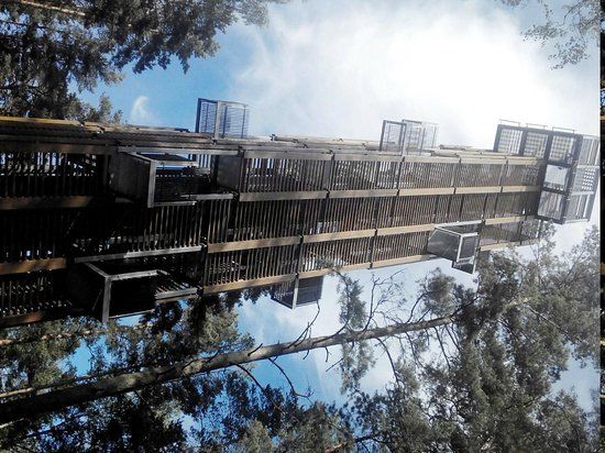 Viewing Tower by Architect Bureau ARHIS