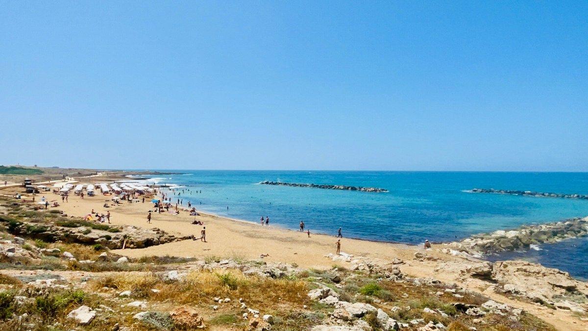 Venus Beach