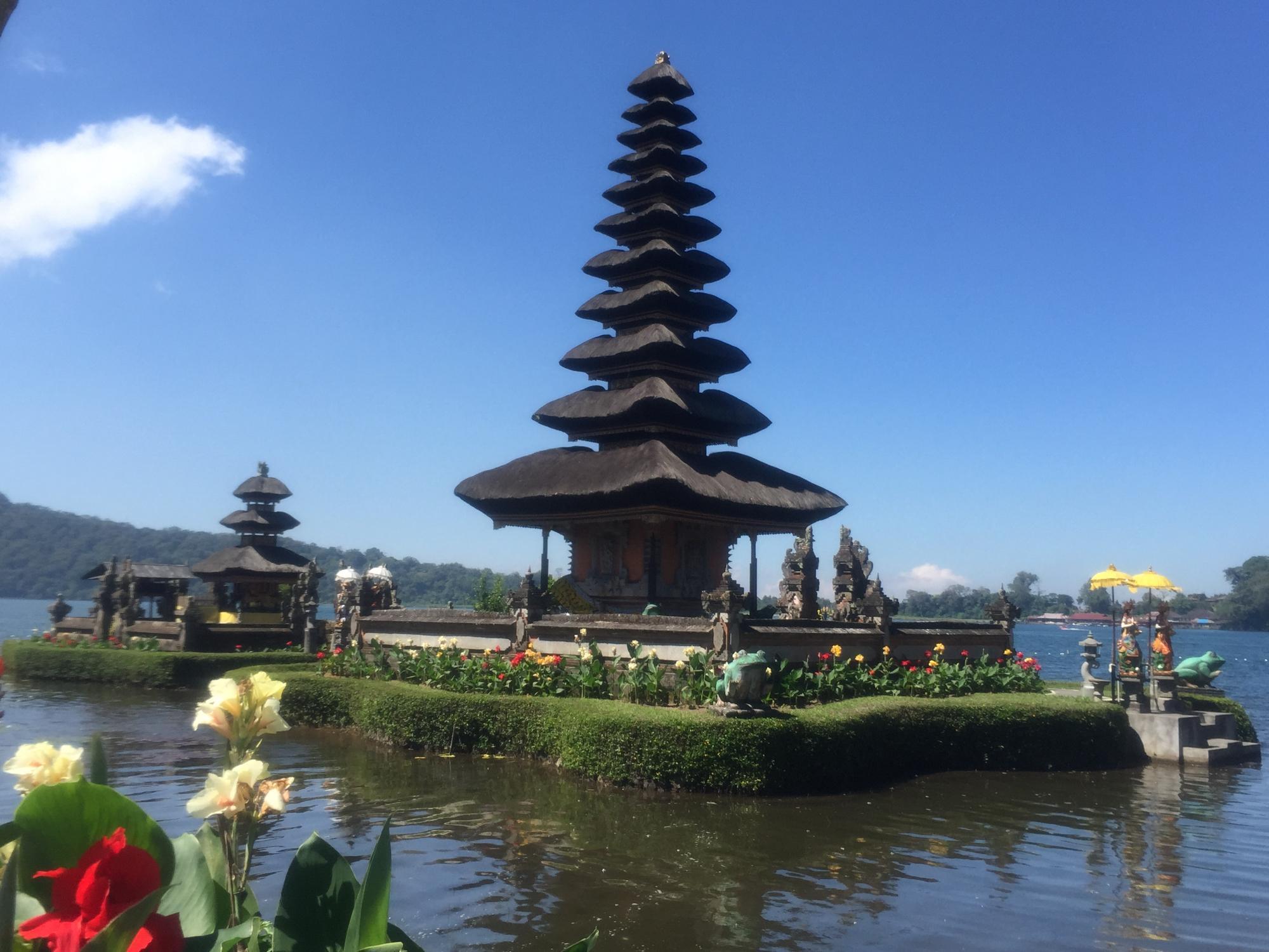 Pura Muaya