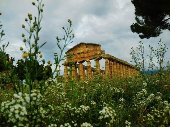 Archäologisches Nationalmuseum von Paestum