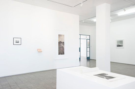 Maya Gallery