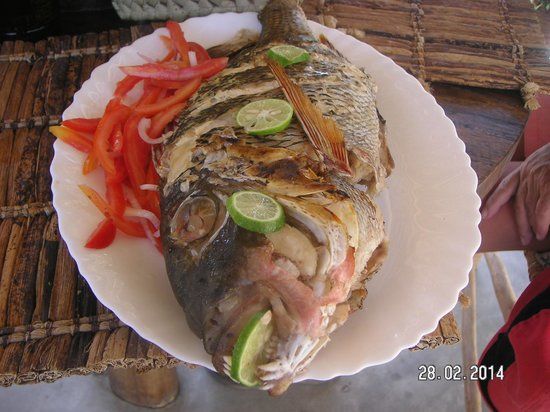 Radio Maria Bar & Restaurant