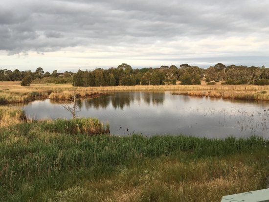 Edithvale-Seaford Wetlands